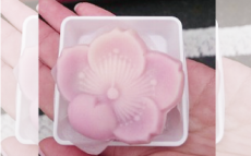 作草部駅でおいしい“桜”が満開！？