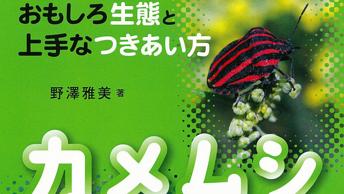 どんな虫でも とことん付き合うと 面白いところ見つかるんだよ あけの語りびと 朗読公開 ニッポン放送 News Online