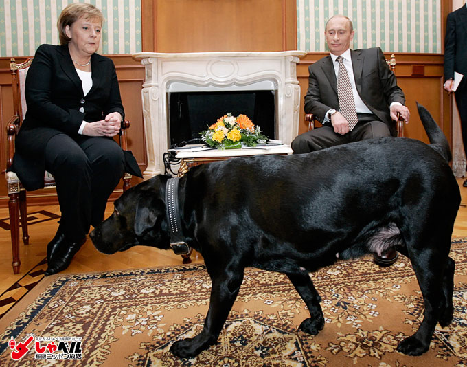 プーチン 日本 犬
