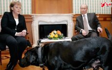 プーチン大統領の高度な“ペット外交”とは!?  政治家とペットの濃密な関係　【ひでたけのやじうま好奇心】