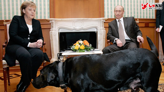 ニッポン放送 NEWS ONLINEプーチン大統領の高度な“ペット外交”とは!?  政治家とペットの濃密な関係　【ひでたけのやじうま好奇心】