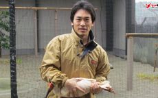 佐渡島の「トキ保護センター」に９年間勤務、国の特別天然記念物・トキの飼育と放鳥に関わってきた男性　　【１０時のグッとストーリー】