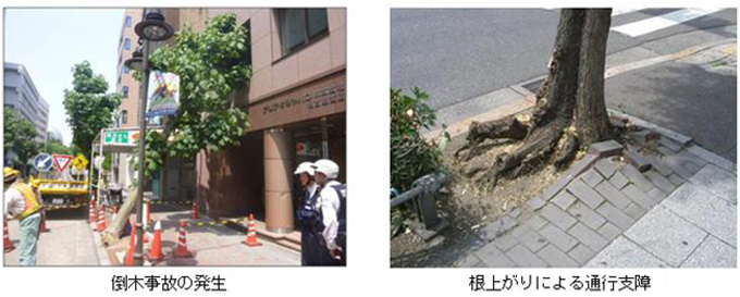 名古屋市 街路樹再生指針（市政情報）