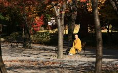 元気の秘訣【瀬戸内寂聴「今日を生きるための言葉」】第119回