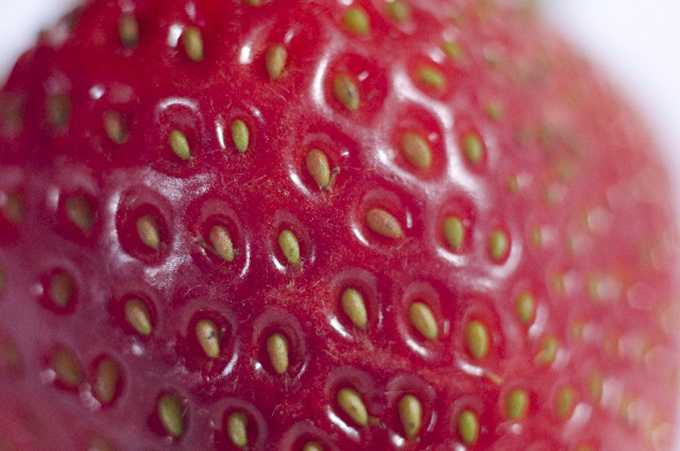 いつも食べてるイチゴの赤い部分は実ではありません 鈴木杏樹のいってらっしゃい ニッポン放送 News Online