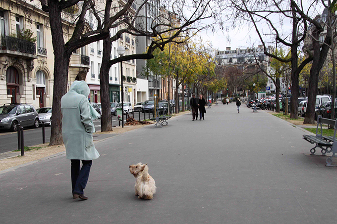 フランスの犬は 社会の一員 ペットと一緒に Vol 15 ニッポン放送 News Online