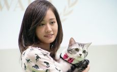 前田敦子も愛猫と登場！Interpet～人とペットの豊かな暮らしフェア～東京ビッグサイトでスタート！