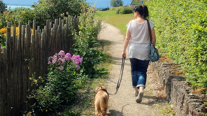 ご存知ですか 愛犬の散歩を10倍充実させる脳トレ ペットと一緒に Vol 28 ニッポン放送 News Online