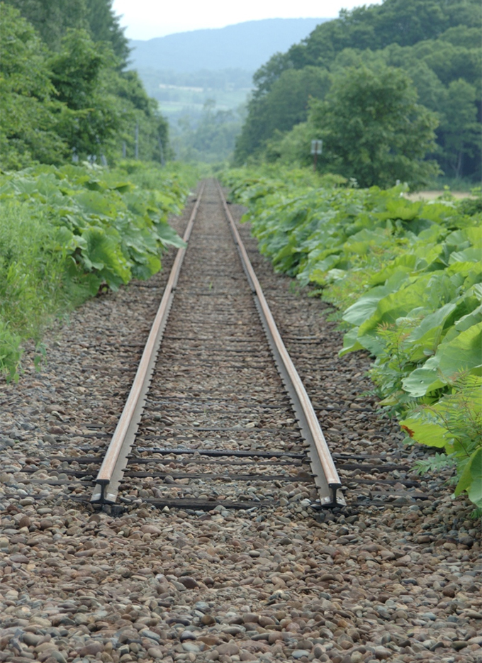 「廃止になった路線は二度と撮れないですから」鉄道を撮り続けて30年。600本以上の作品を創り上げた鉄道ディレクター【10時のグッとストーリー】