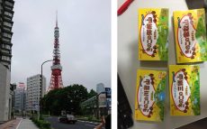 山の日！東京の山！東京タワーに登山(？) レポート！【垣花正あなたとハッピー！】