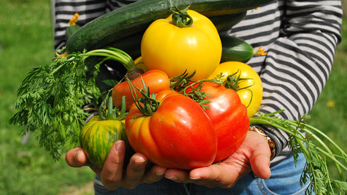 もうこんがらがらない 堆肥と肥料の違い ニッポン放送 News Online