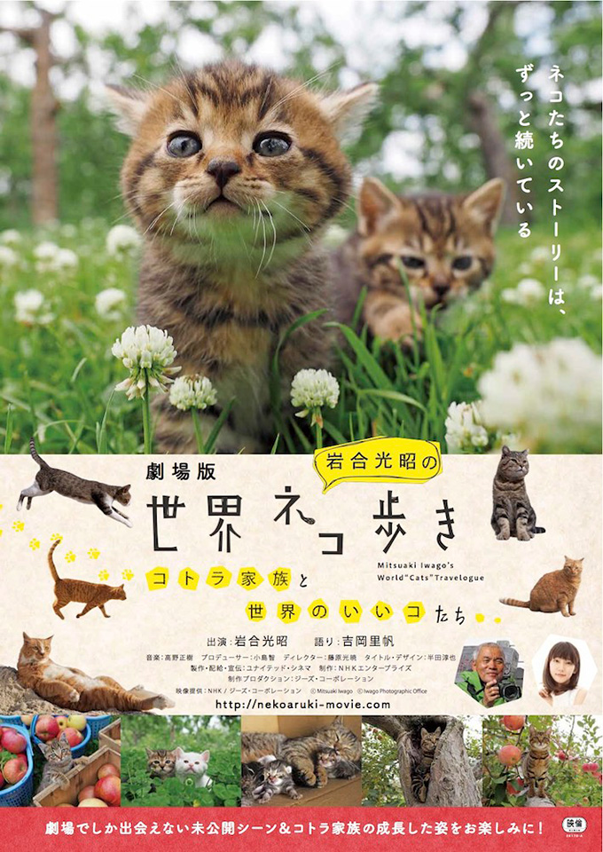 ネコ好き必見！『劇場版 岩合光昭の世界ネコ歩き　コトラ家族と世界のいいコたち』