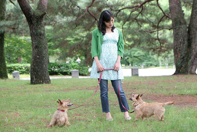 勝気なテリアと仲良く過ごせる ママも奮闘 2頭の犬と子どもの6年間のストーリー ニッポン放送 News Online