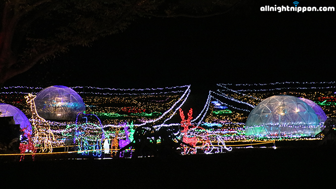 約1万5000個のシャンパングラスツリーが輝く！国営昭和記念公園イルミネーションイベントが明日より開催！