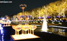 約1万5000個のシャンパングラスツリーが輝く！国営昭和記念公園イルミネーションイベントが明日より開催！