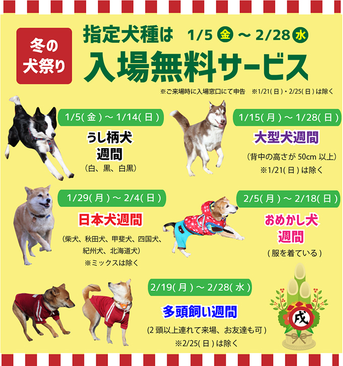 犬税 散歩しないと罰金 多様な世界のイヌ事情 ニッポン放送 News Online