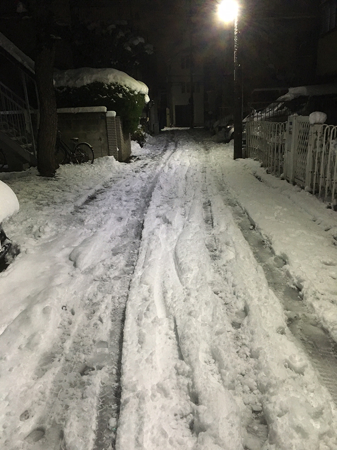 大雪 川崎市 積雪