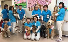 アニマルセラピーを愛猫と保護犬と続けて20年。女性獣医師の訪問活動に密着！