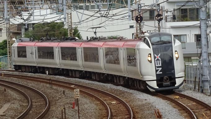 E259系 電車 特急 成田エクスプレス 東海道本線 戸塚 大船