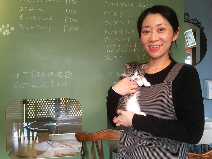 ネコ捨て山から犬猫を助けていた少女が 保護猫カフェを開くまでのヒストリー ニッポン放送 News Online