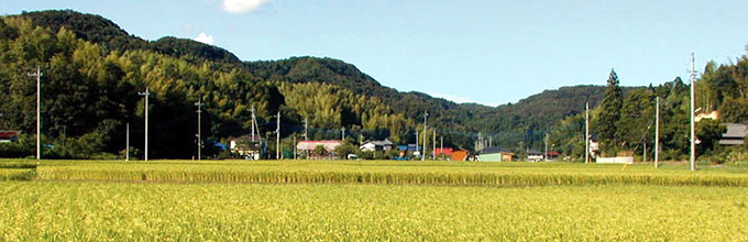 稲作 グリーンツーリズム