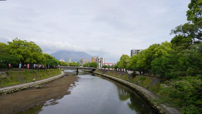 甲突川 桜島