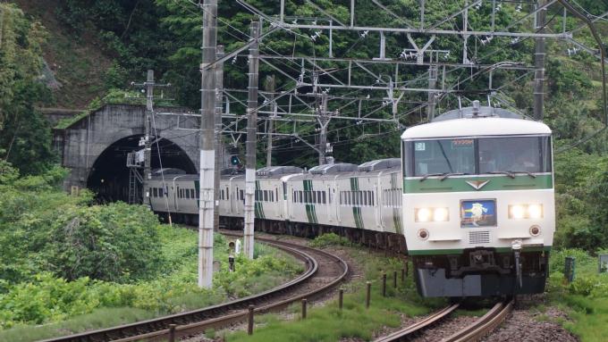 185系電車 回送列車 東海道本線 根府川 早川