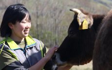 岩手の牧場で学んだ山地酪農を神奈川の山で新たに始める女性のストーリー