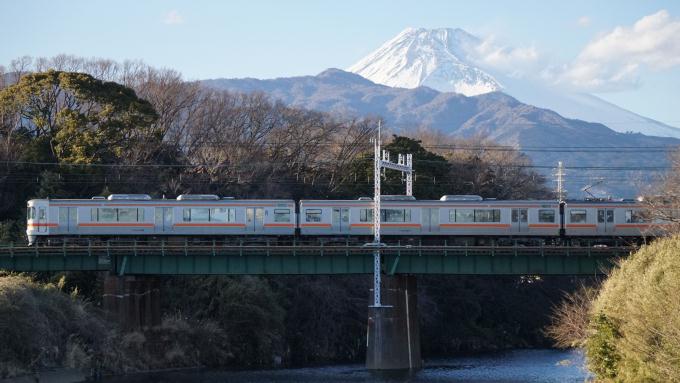 313系 普通列車 東海道本線 三島 沼津