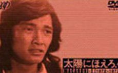 1973年7月13日、人気ドラマ『太陽にほえろ！』で萩原健一扮するマカロニ刑事が殉職　