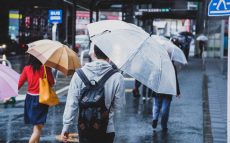 台風13号～福島・宮城は昼前後が風のピーク