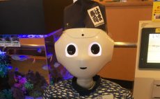 AI・ロボットと家事の「さしすせそ」