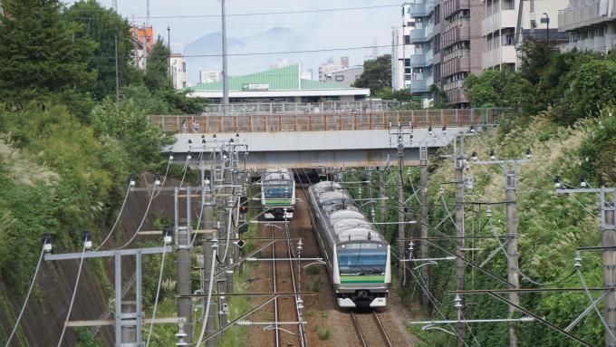 E233系 電車 横浜線 古淵～町田間 秋のかながわ味わい弁当 駅弁 崎陽軒