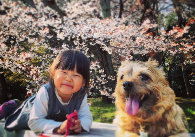 犬は親友 小学生と犬が7年間で築いたあたたかな関係性 ニッポン放送 News Online