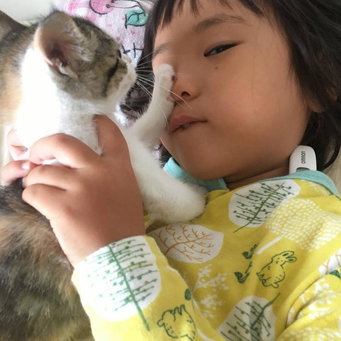 感染症に勝った奇跡の子猫！　ママ獣医師のミルクボランティア奮闘記