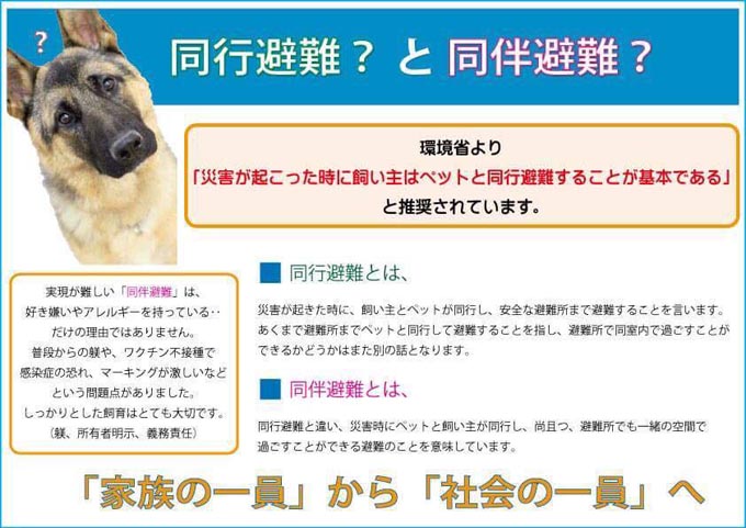 倉敷市内 倉敷 トリミングサロン ペット 被災 西日本豪雨 避難 防災 犬