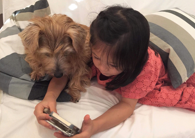 犬は親友 小学生と犬が7年間で築いたあたたかな関係性 ニッポン放送 News Online
