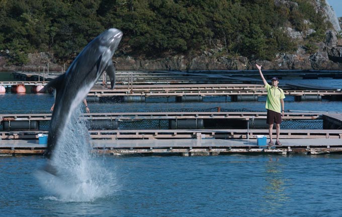クジラと触れ合える、日本で唯一の博物館をご存知ですか？