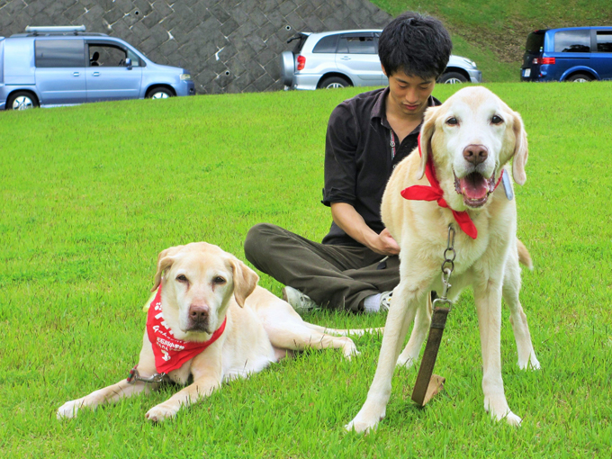 盲導犬候補生との出会いと別れ。飼育ボランティアの15年の感動物語
