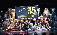 11月11 日(日) ミュージカル『キャッツ』が日本上演35周年を迎える