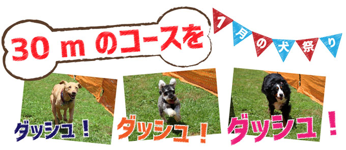 犬の目はなぜ写真を撮ると赤や緑に光るのか ニッポン放送 News Online