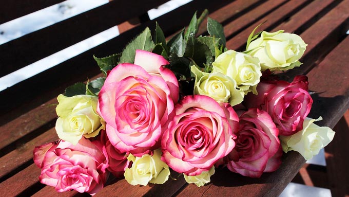 気をつけたいバラの花言葉 ネガティブな意味になる場合も ニッポン放送 News Online