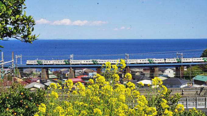 横浜駅「初夏のかながわ味わい弁当」(960円)～神奈川の新緑を眺めて鉄道旅！