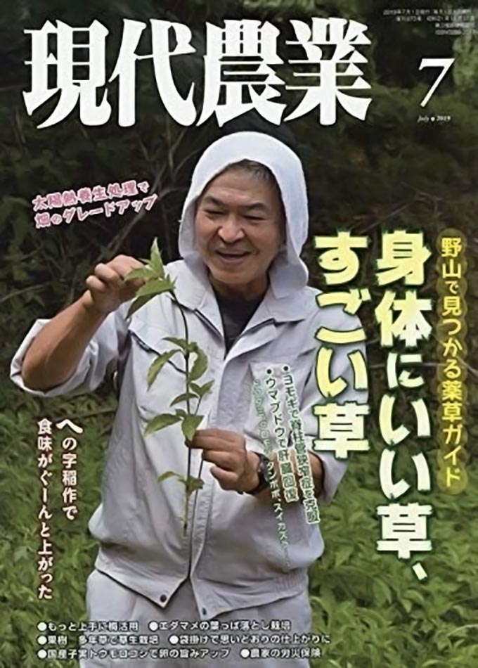 農家の知恵 おいしいスギナのおひたし 害虫を防ぐアップルミント 鼻炎にはドクダミの葉が効く ニッポン放送 News Online