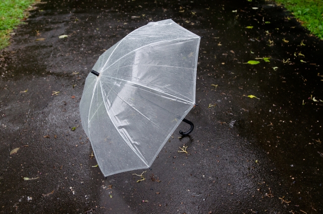 原田龍二は雨でも傘を持つのが嫌い！？