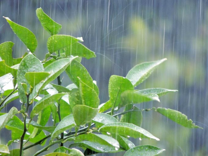 九州豪雨～現在の状況と今後の予想