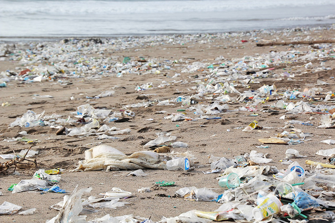 マイクロプラスチック問題～2050年には魚と海洋ごみが同じ重量に