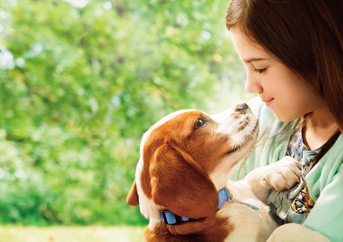 家族の幸せのために 何度も生まれ変わる犬と人間のラブストーリー ニッポン放送 News Online