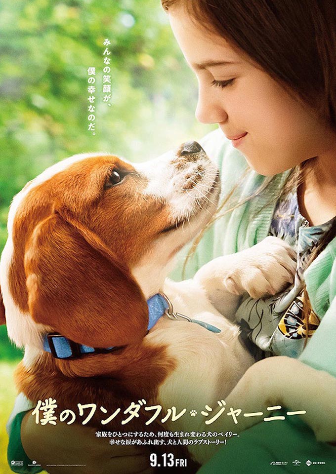 家族の幸せのために 何度も生まれ変わる犬と人間のラブストーリー ニッポン放送 News Online