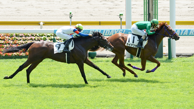 ジーカップダイスキ タベテスグネル 珍馬名にビックリ ニッポン放送 News Online